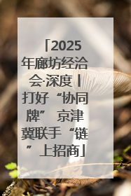 2025年廊坊经洽会·深度丨打好“协同牌” 京津冀联手“链”上招商