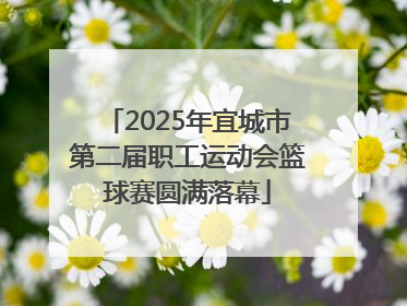 2025年宜城市第二届职工运动会篮球赛圆满落幕