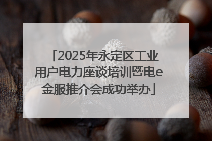 2025年永定区工业用户电力座谈培训暨电e金服推介会成功举办