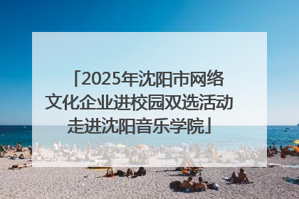 2025年沈阳市网络文化企业进校园双选活动走进沈阳音乐学院