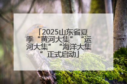 2025山东省夏季“黄河大集”“运河大集”“海洋大集”正式启动