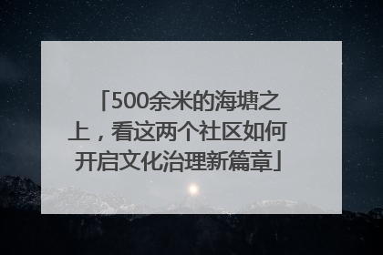 500余米的海塘之上，看这两个社区如何开启文化治理新篇章