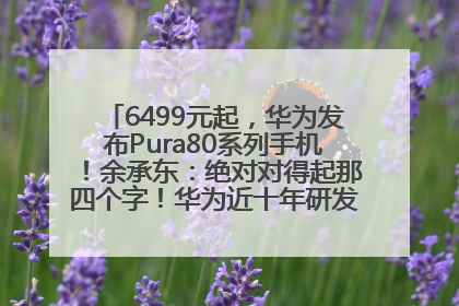 6499元起，华为发布Pura80系列手机！余承东：绝对对得起那四个字！华为近十年研发投入12490亿元