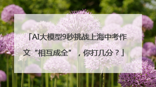AI大模型9秒挑战上海中考作文“相互成全”，你打几分？