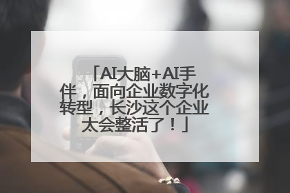 AI大脑+AI手伴，面向企业数字化转型，长沙这个企业太会整活了！