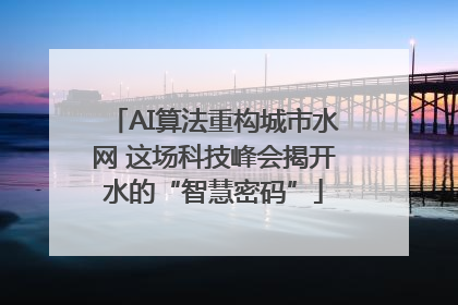AI算法重构城市水网 这场科技峰会揭开水的“智慧密码”